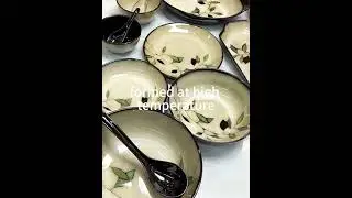 Stoneware Dinnerware with Artistic Glaze | Handcrafted Plates & Bowls