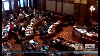 Illinois Gun Sanctuary Counties and Cities -- WCIA3