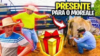 COMPREI UM RETIRO Para o MOREALE
