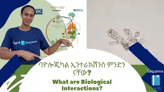 What are Biological Interactions? | ባዮሎጂካል ኢንተራክሽንስ ምንድን ናቸው?