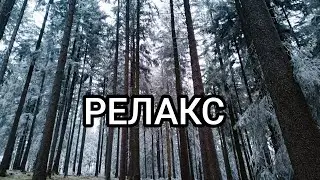 Сказочный лес.Чуть не заблудилась.#olinacz 