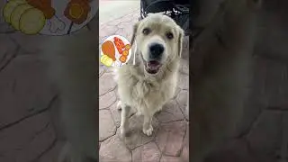 Feeding the Beast!