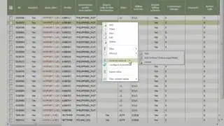 Overview of MVTS II, a wholesale VoIP softswitch from ALOE Systems.mp4