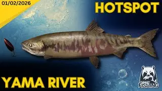 Yama River - Spinning for Salmon - Russian Fishing 4