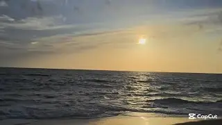 Sri Lankan 🇱🇰 Beach side | A sunset scene in the evening #nature #travel #beach 