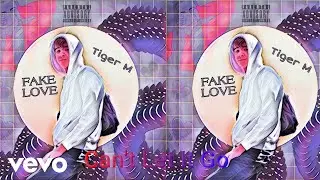 Tiger M - Can't let it go (official audio)