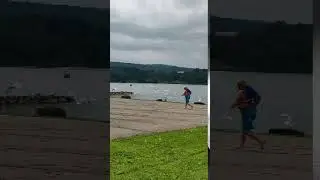 FAT GUY CHASING SEGULS