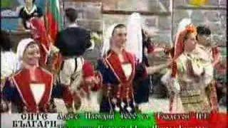 Кацнал бръмбар на трънка