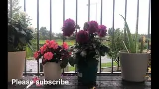 Relaxing sounds of rain and music|Travel with Atiq|Live Stream