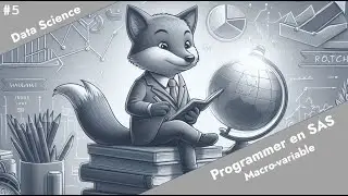 [Data Science] - Programmer en SAS #5 - Comment fonctionne une macro-variable sous SAS ? [FR]
