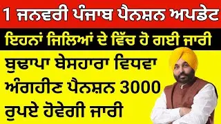 1 January punjab budapa Pension news 2026, big update 💸💸💸💰