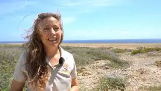 101 on Aruba's Nature