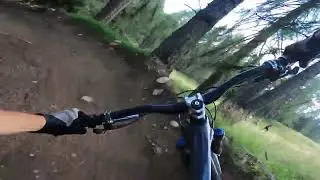 G FORCE TRAIL ON BOARD Cortina Bike Park Dolomiti