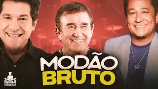 SERTANEJO ANOS 90 (1 HORA DE MODÃO) Só Os Grandes Sucessos - Rick e Renner, Gian e Giovani