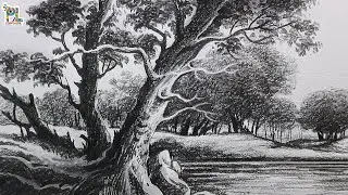 How to draw Beautiful Forest with pencil sketch and shading | Trees drawing