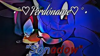 •|°~PERDÓNAME~°•| //♡Sonadow♡//