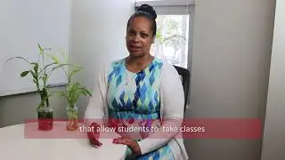 What is the Working Scholars Program?