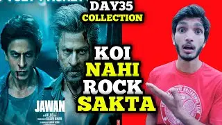 Jawan Day 35 Collection 🔥🔥 | Jawan Day 35 Box Office Collection | Jawan Collection