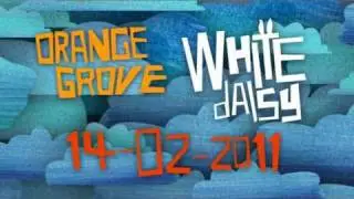OrangeGrove -  White Daisy Teaser