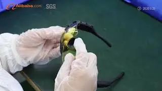 Engine社紹介動画