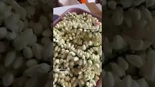Jasmine Flowers | Vrindhavan Flowers | Madurai