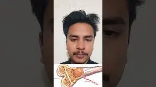 রক্ত কোথায় তৈরি হয়...? #urtips #blood #anatomy #nursing #medical #motivation