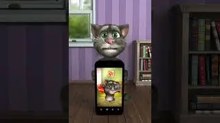 Talking Tom 2 
