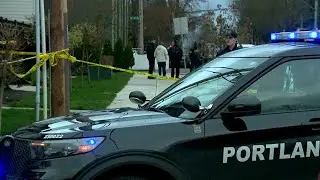 Portland mayor asks ICE to halt operations after 2 shot by federal agent