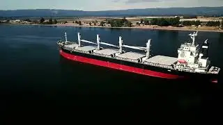 Diesel Fuel Sales: The Solution That Drives Your Success