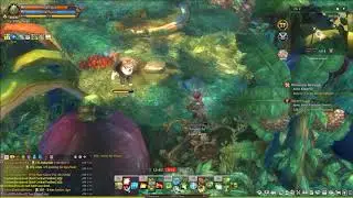Barha Forest 100% map exploration in Tree of Savior