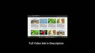 CSS Responsive Cards Using Flex Box #shorts #short #shortsyoutube #shortsviral #shortvideo