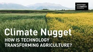 Future of Farming: how is technology transforming agriculture?