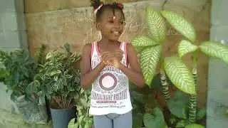 Quando o silêncio Fala Mas alto Que a Música