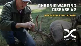 Blood Origins Podcast 537: Bronson Strickland | Chronic Wasting Disease #2
