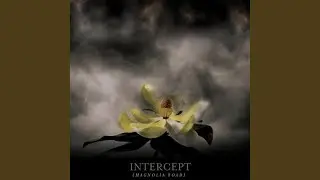 Push -interlude-