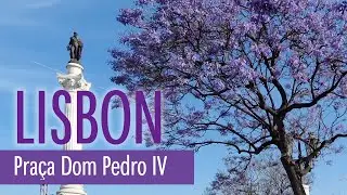 Lisbon in Purple - Pra&ccedil;a Dom Pedro IV