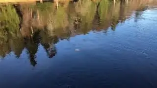 Dunkeld House Salmon Fishing