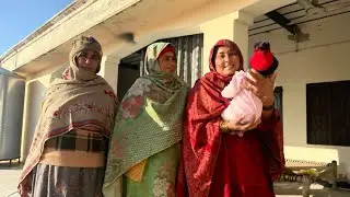 Adoption Ka Bilkul Jhoot Nahin Hai ❤️❤️❤️