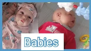 oopsie forgot the Doona Reborns in prams