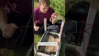 Как сплести эффект леденца на сетке для деревьев