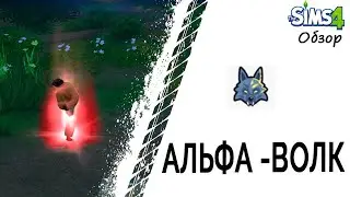 Альфа- волк в Симс 4