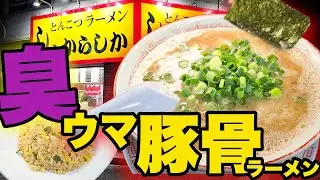 豚骨ラーメン臭ウマ直球！深夜行列の800円神一杯｜しぇからしか