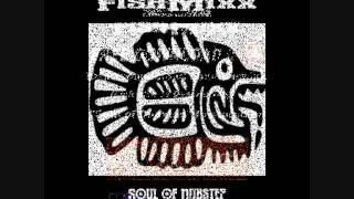 FishMixx Soul of Dubstep.