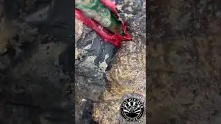 Leak Detection & Repair | Plumbing Clip