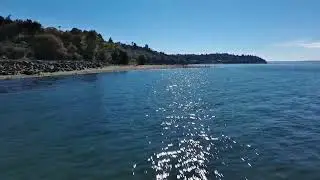 Southbound Migration