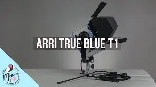 Arri T1 1000w (tungsten) - monkey rent Frankfurt