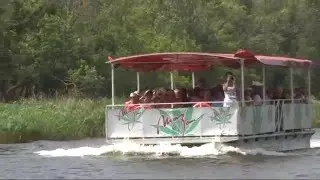 Ropotamo river, Bulgaria 2