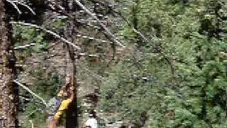 P1010005