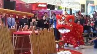 夏國璋龍獅團夏敬文師傅醒獅表演《英雄橋 》
