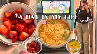 Vlog🤍cozy winter days, strawberry chocolate, unboxing, meesho finds